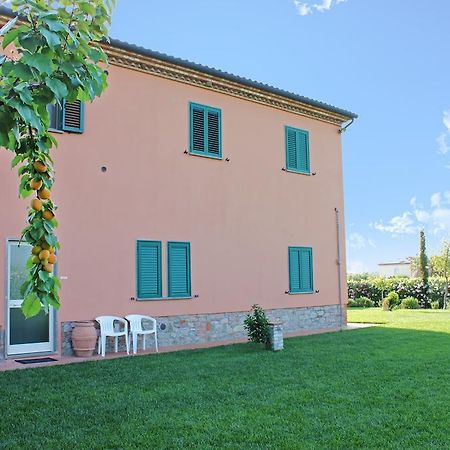 Agriturismo Ferruggini Bolgheri Ngoại thất bức ảnh