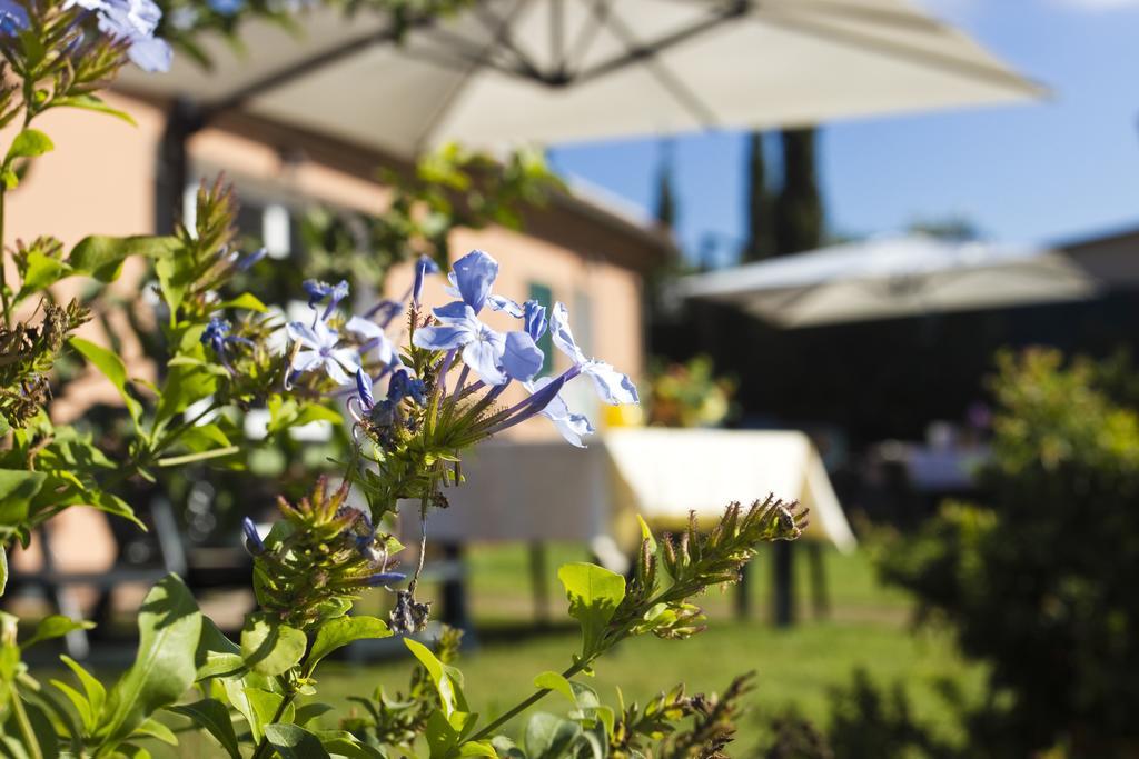 Agriturismo Ferruggini Bolgheri Ngoại thất bức ảnh