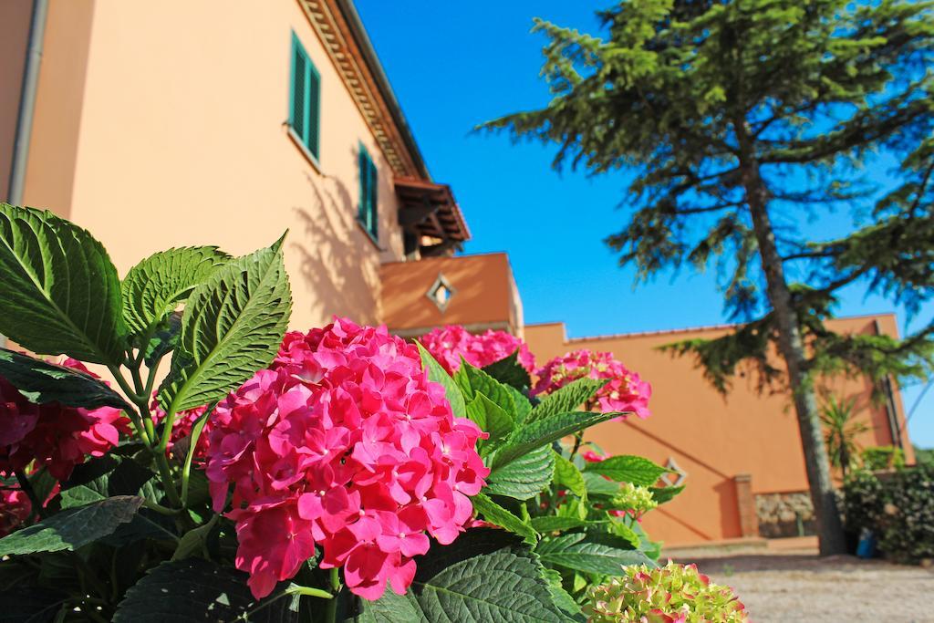 Agriturismo Ferruggini Bolgheri Ngoại thất bức ảnh