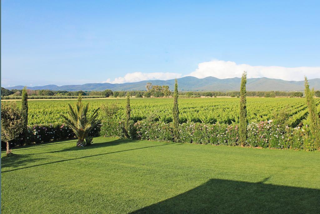 Agriturismo Ferruggini Bolgheri Ngoại thất bức ảnh